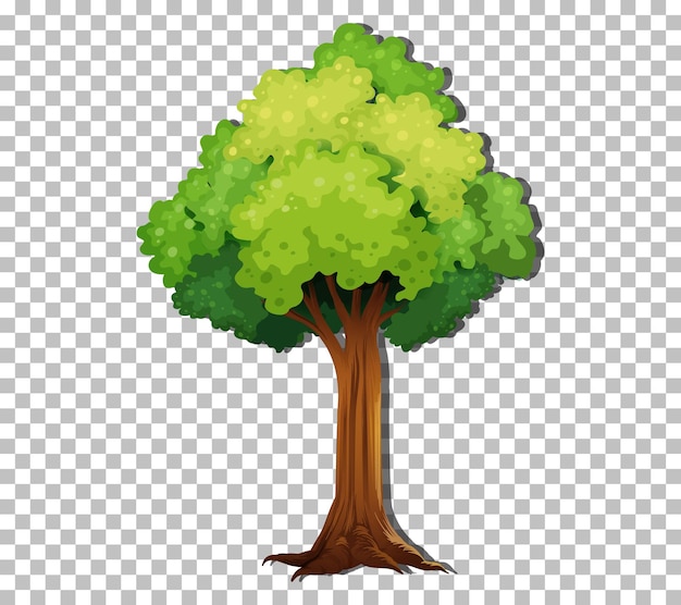 Vector gratuito un árbol aislado sobre fondo transparente