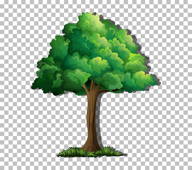 Vector gratuito un árbol aislado sobre fondo transparente