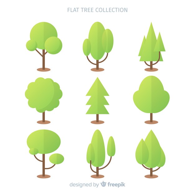 Árbol Colección