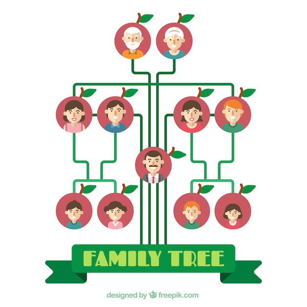 Árbol genealógico decorativo en diseño plano