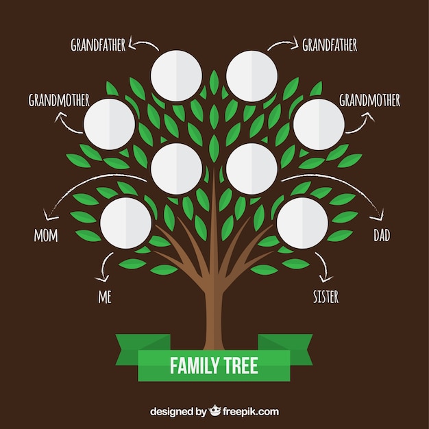 Árbol genealógico con hojas verdes y flechas