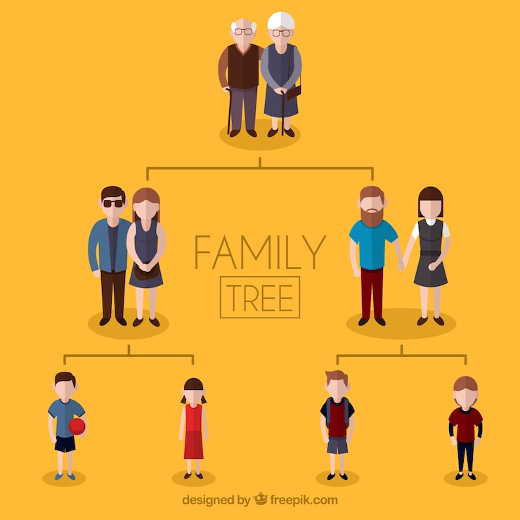 Vector gratuito árbol genealógico con tres generaciones