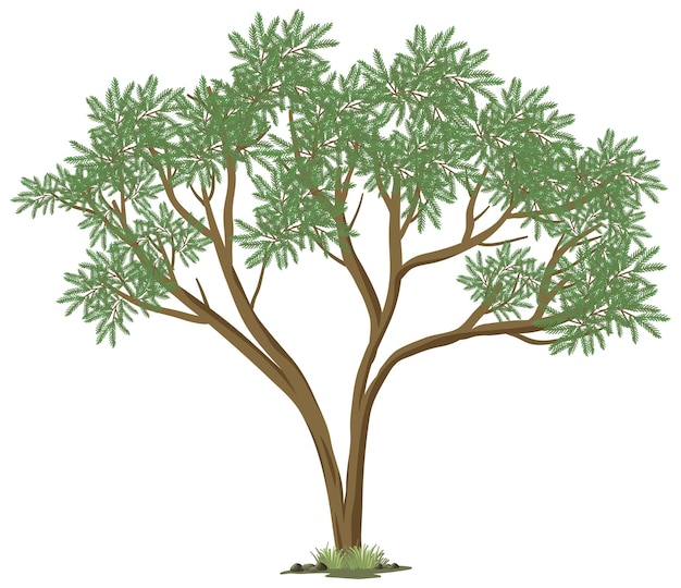 Vector gratuito Árbol grande aislado sobre fondo blanco.