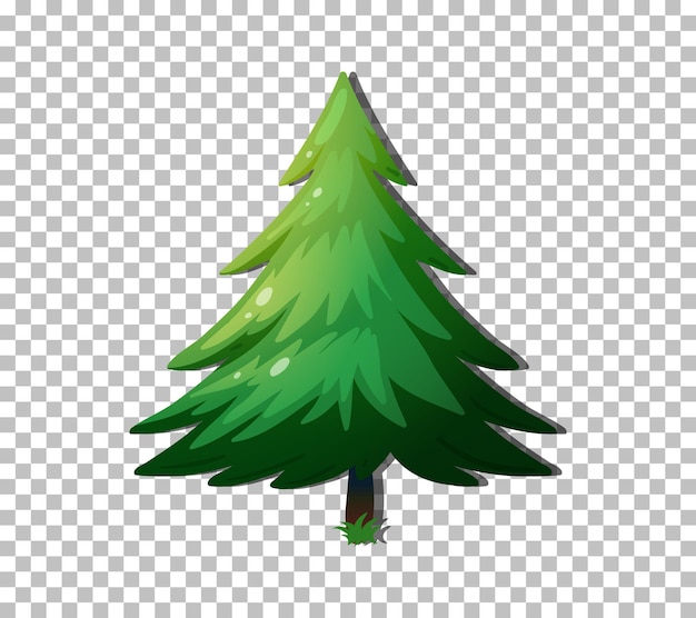 Vector gratuito Árbol de hoja perenne aislado sobre fondo transparente