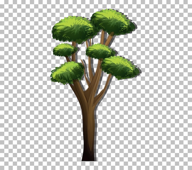 Un árbol con hojas verdes sobre fondo transparente
