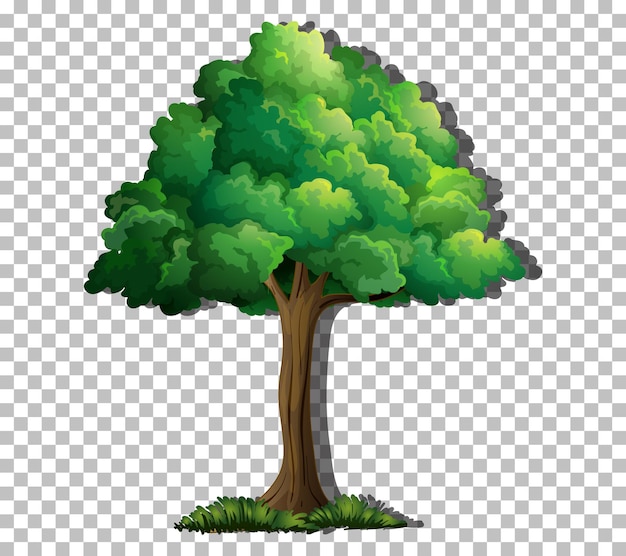 Imágenes de Tronco Arbol - Descarga gratuita en Freepik