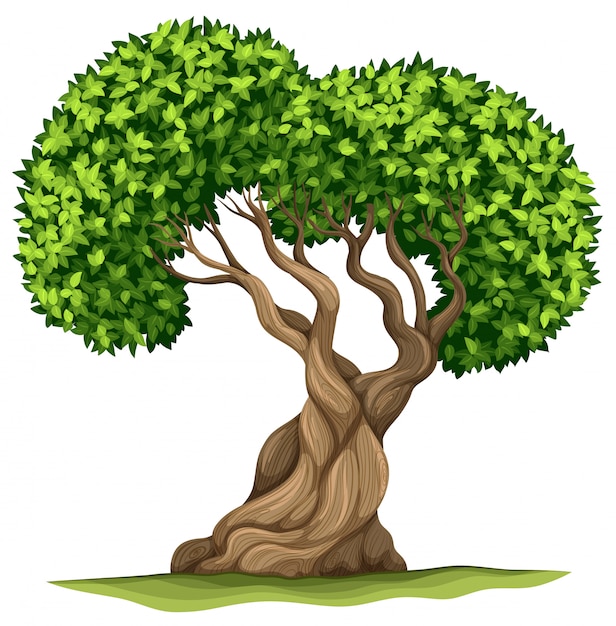 Árbol con hojas verdes