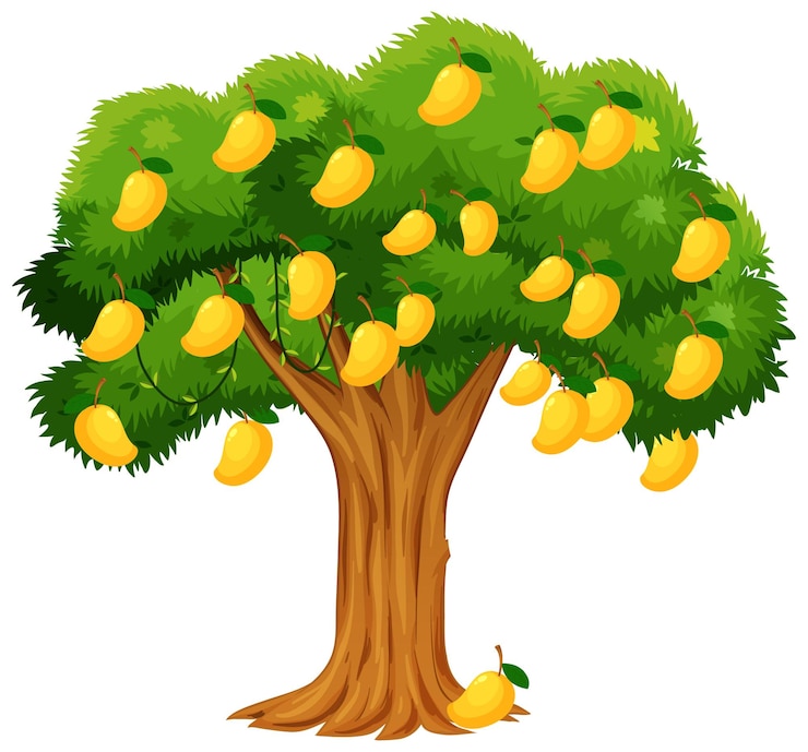Vector gratuito árbol de mango amarillo aislado en blanco