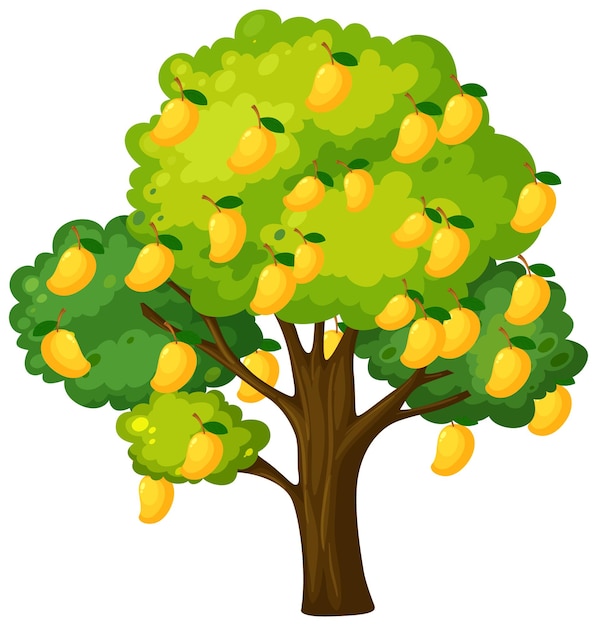 Vector gratuito Árbol de mango amarillo aislado en blanco