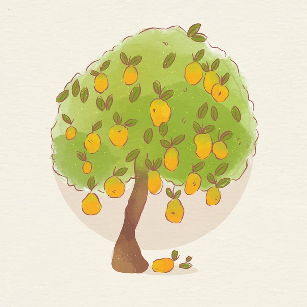 Vector gratuito Árbol de mango botánico acuarela con frutas