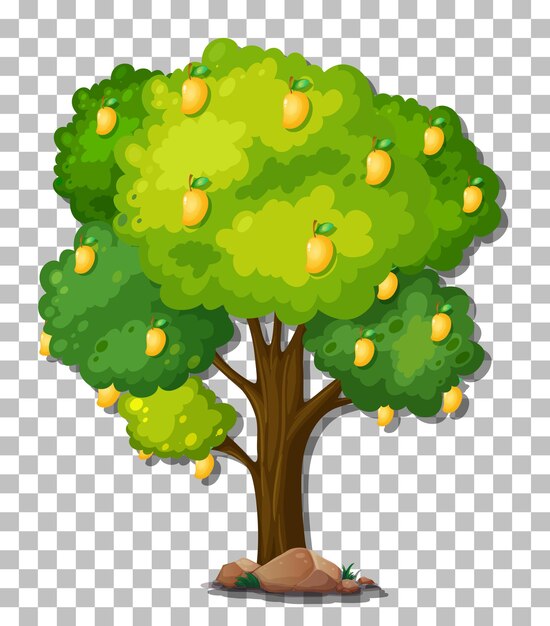 Árbol de mango sobre fondo transparente