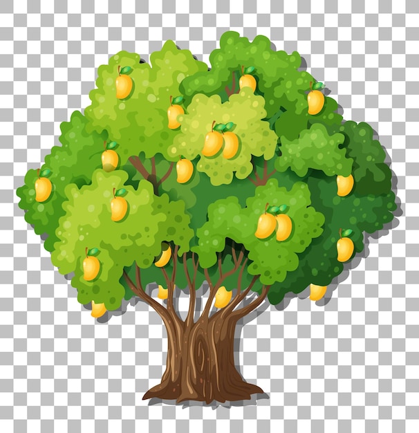 Vector gratuito Árbol de mango sobre fondo transparente