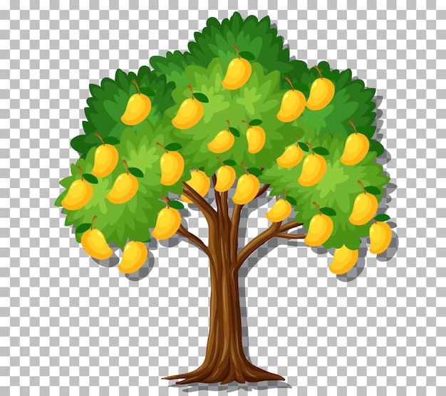 Vector gratuito Árbol de mango sobre fondo transparente