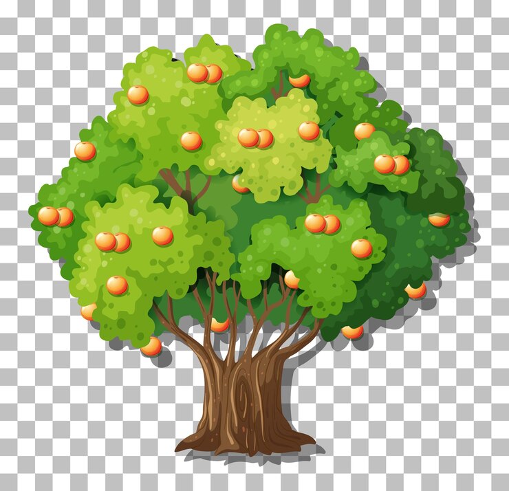Vector gratuito árbol de naranja sobre un fondo transparente