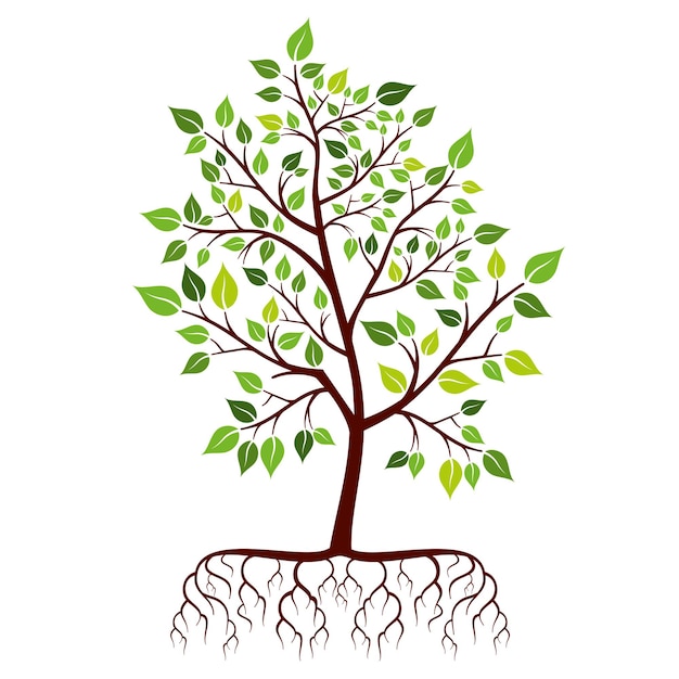 Vector gratuito Árbol con raíces y hojas verdes.