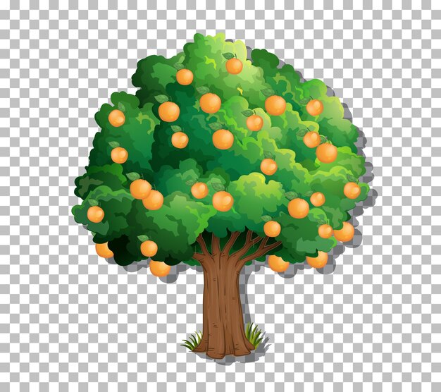 Árbol sobre fondo transparente