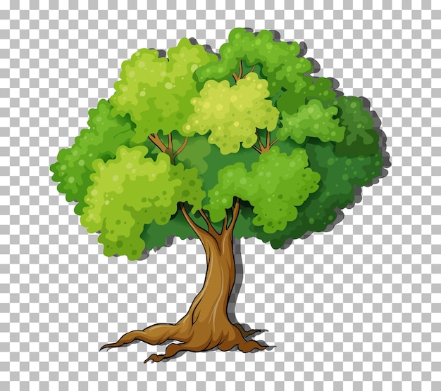 Vector gratuito Árbol sobre fondo transparente