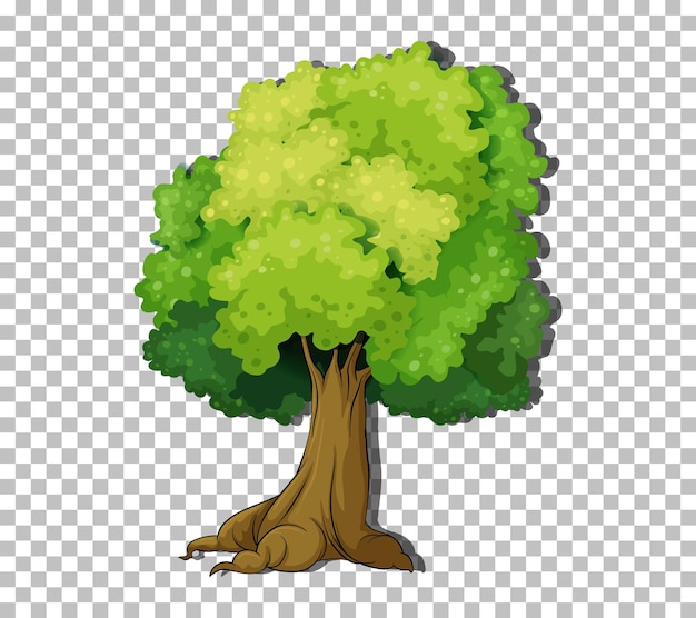 Vector gratuito Árbol sobre fondo transparente