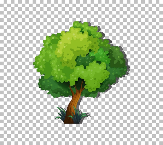 Vector gratuito Árbol sobre fondo transparente