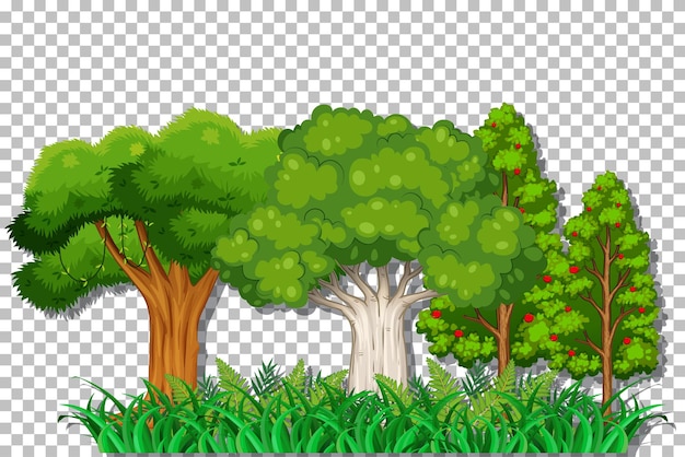 Vector gratuito Árbol sobre fondo transparente