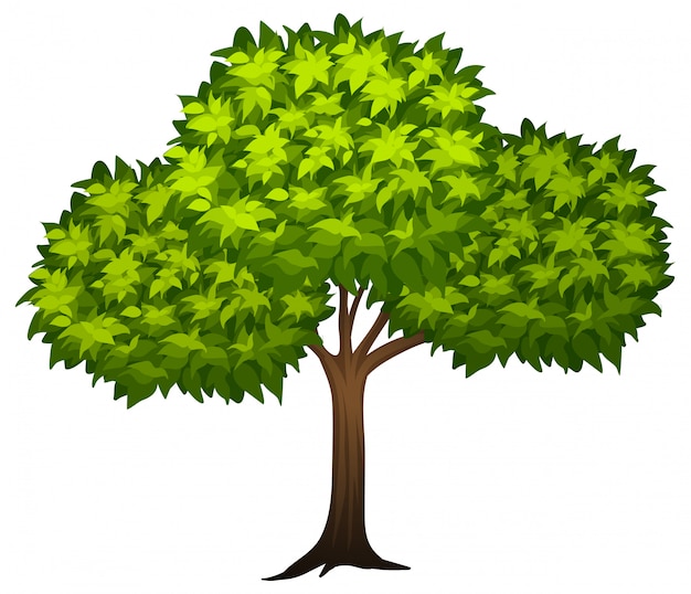 Vector gratuito un arbol verde