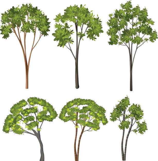 árboles aislados sobre fondo blanco