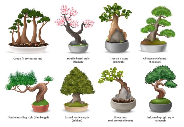 Árboles bonsai japoneses realistas en iconos de macetas conjunto ilustración vectorial aislado