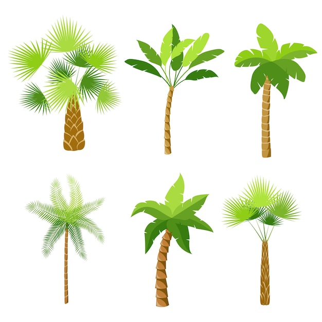 Vector gratuito Árboles decorativos de palmeras iconos conjunto de ilustración vectorial