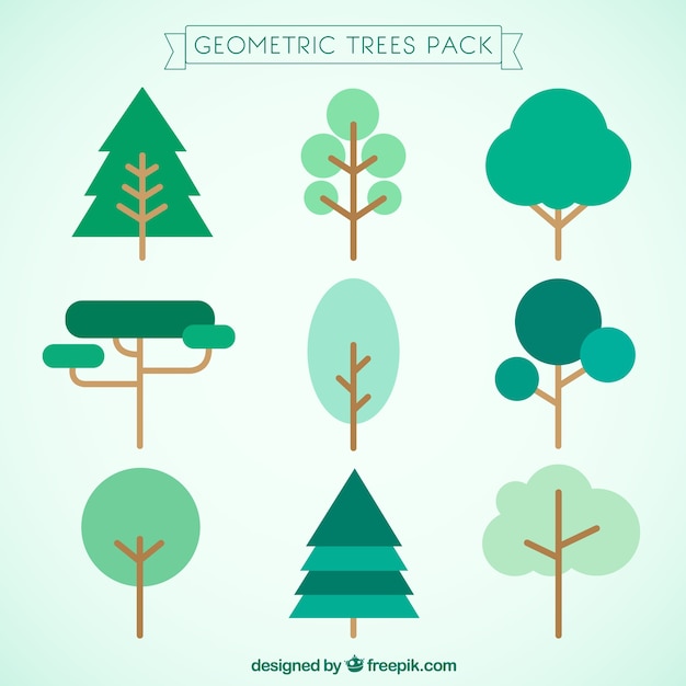 Árboles geométricos paquete
