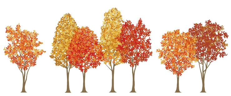 Vector gratuito árboles a orillas de la carretera en colores de otoño ilustración vectorial aislada sobre un fondo blanco