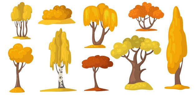 Árboles otoñales y arbustos con follaje amarillo y naranja.