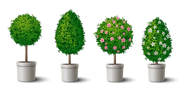 Árboles verdes de forma pequeña en macetas con y sin flores conjunto realista ilustración vectorial aislada