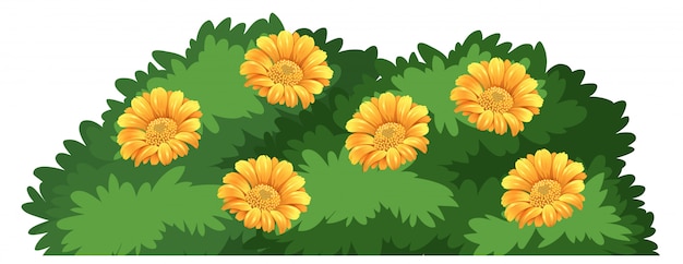 Vector gratuito un arbusto de flores aisladas