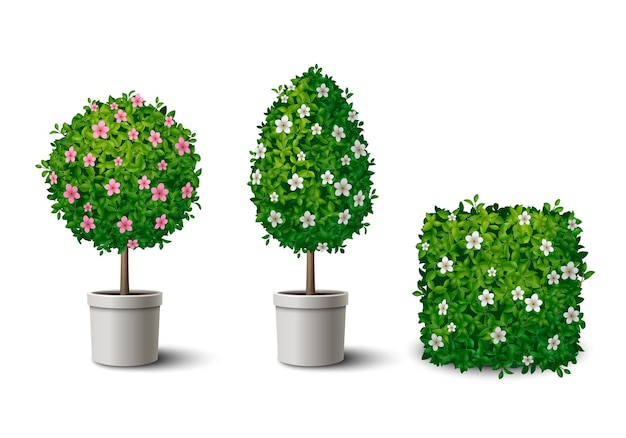 Arbustos florecientes verdes realistas y pequeños árboles en macetas de diferentes formas ilustraciones vectoriales aisladas