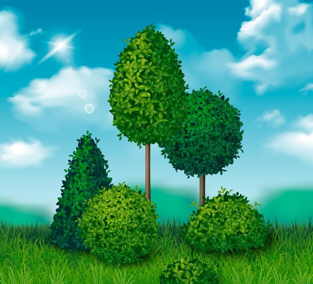 Arbustos verdes y plantas ornamentales de árboles pequeños en el fondo con cielo azul ilustración vectorial realista