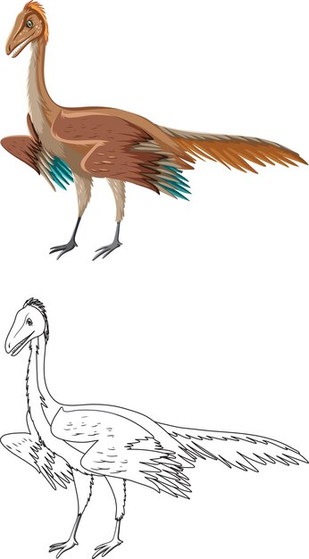 Archaeopteryx dinosaurio con su contorno de garabato en backgrou blanco