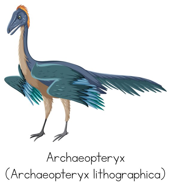 Archaeopteryx con palabra sobre fondo blanco