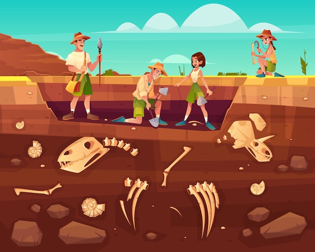 Vector gratuito arqueólogos, científicos de paleontología trabajando en excavaciones.