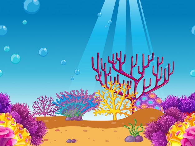 Arrecife de coral bajo el fondo del mar