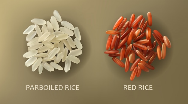 Vector gratuito arroz blanco sancochado y sancochado