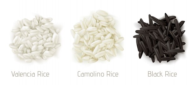 Arroz valencia, camolino, vista superior de la pila de grano salvaje