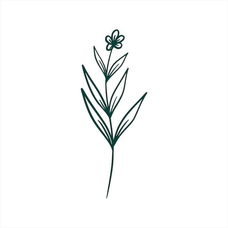 Vector gratuito arte de líneas de flores silvestres en hojas botánicas