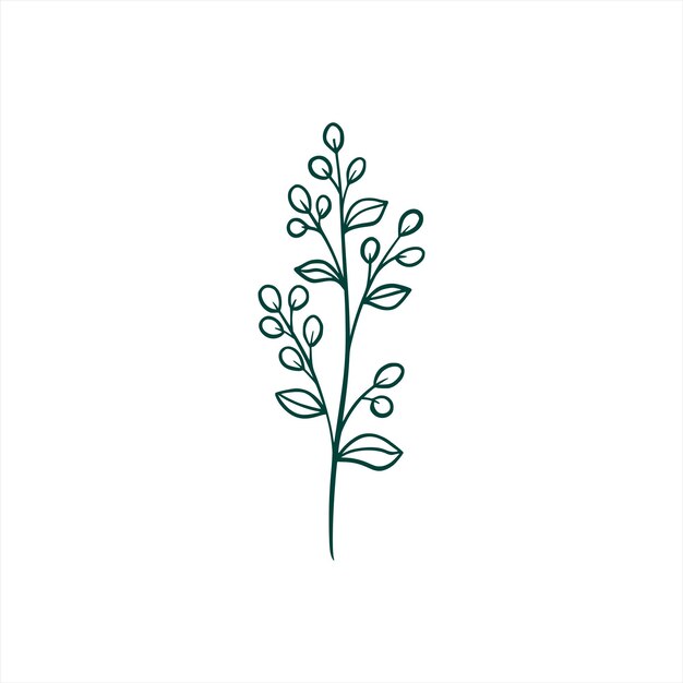 Arte de líneas de flores silvestres en hojas botánicas