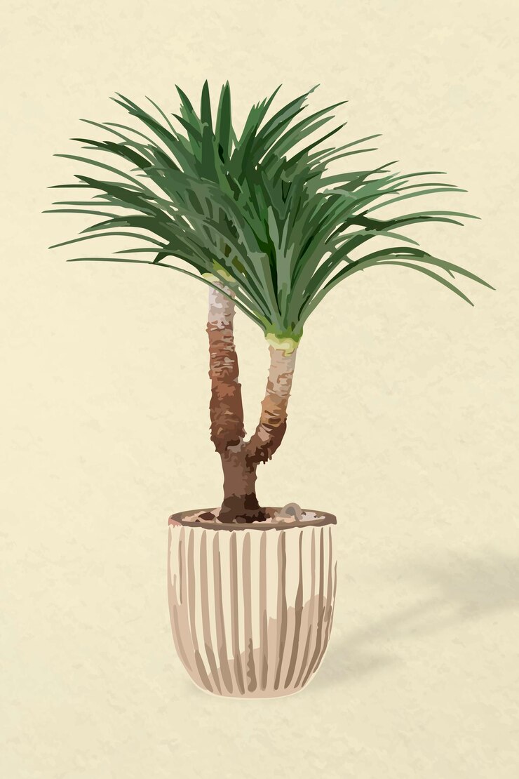 Vector gratuito arte vectorial de árbol, árbol de agave en una maceta