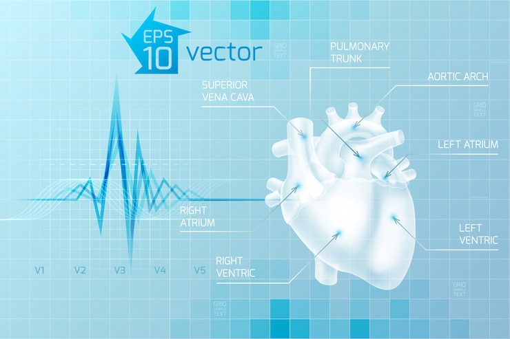 Vector gratuito atención médica con anatomía del corazón humano en azul claro en estilo digital