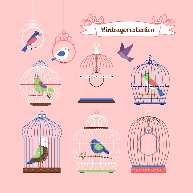 Vector gratuito aves y jaulas de pájaros lindo color ilustración