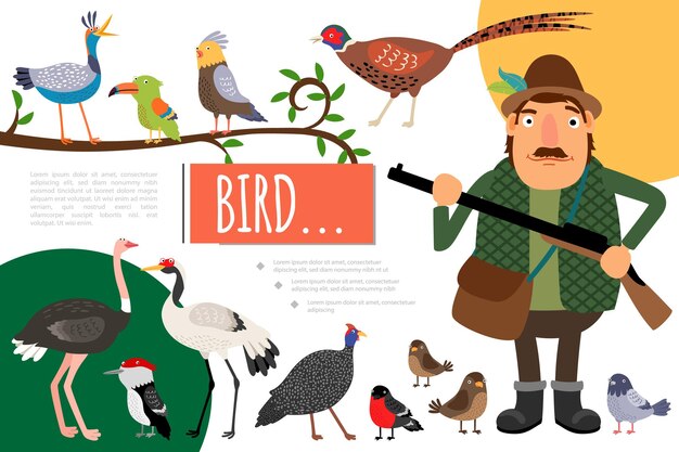 Aves planas colorida composición natural con cazador con pistola paloma loro grúa gorrión faisán pájaro carpintero tucán avestruz camachuelo ilustración