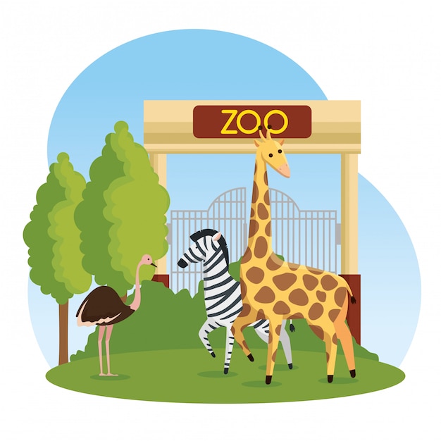 Avestruz con animales salvajes de cebra y jirafa en el zoológico