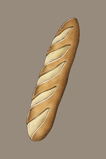 Vector gratuito baguette orgánico recién horneado