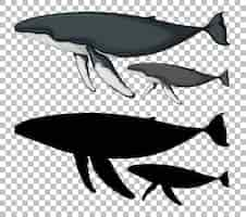 Vector gratuito ballena azul y ballena azul bebé con su silueta en transparente